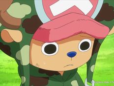 โทนี่ โทนี่ ชอปเปอร์ (Tony Tony Chopper)